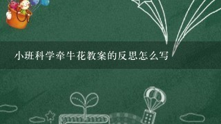 小班科学牵牛花教案的反思怎么写