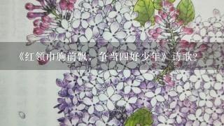 《红领巾胸前飘，争当四好少年》诗歌？