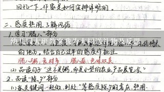 幼儿园大班教案我为大树送礼物及反思