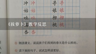 《拔萝卜》教学反思