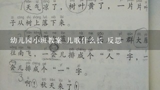 幼儿园小班教案 儿歌什么长 反思