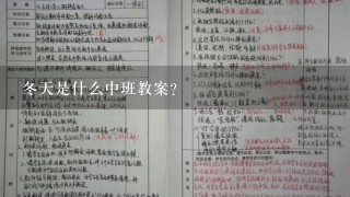 冬天是什么中班教案?