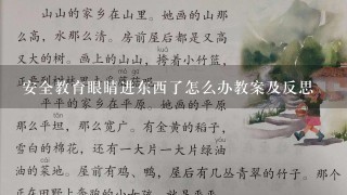 安全教育眼睛进东西了怎么办教案及反思