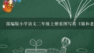 部编版小学语文二年级上册看图写话《猫和老鼠》评课稿