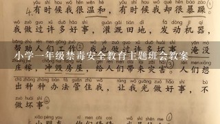 小学一年级禁毒安全教育主题班会教案