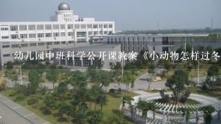 幼儿园中班科学公开课教案《小动物怎样过冬》