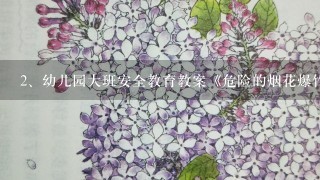 幼儿园大班安全教育教案《危险的烟花爆竹》含反思