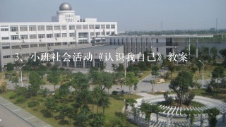 小班社会活动《认识我自己》教案