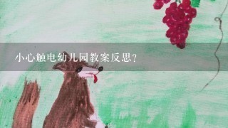 小心触电幼儿园教案反思？