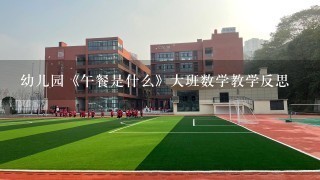 幼儿园《午餐是什么》大班数学教学反思