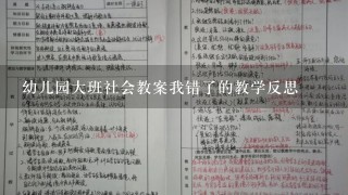 幼儿园大班社会教案我错了的教学反思