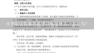 小学语文教案的教学目标是什么，怎么写？