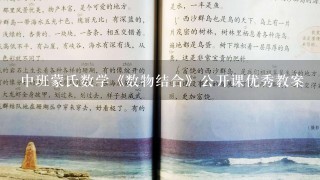 中班蒙氏数学《数物结合》公开课优秀教案