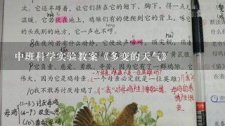 中班科学实验教案《多变的天气》