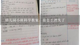 幼儿园小班科学教案：盐怎么消失了