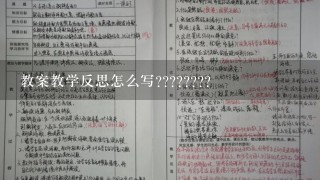 教案教学反思怎么写????????