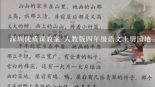 深圳优质课教案 人教版4年级语文上册园地3《小飞侠彼得潘》整本书阅读