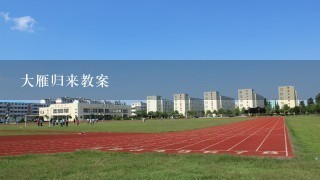 大雁归来教案