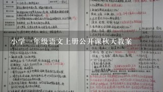 小学一年级语文上册公开课秋天教案