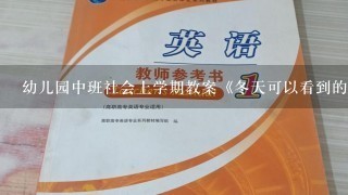 幼儿园中班社会上学期教案《冬天可以看到的树叶》含