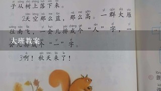 大班教案