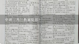 中班3月3教案反思？