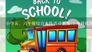 小学<br/>5、6年级综合实践活动教案(上海科技教育出版社)