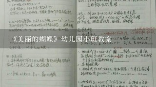 《美丽的蝴蝶》幼儿园小班教案