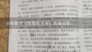 小班数学《数数有多少》教案反思