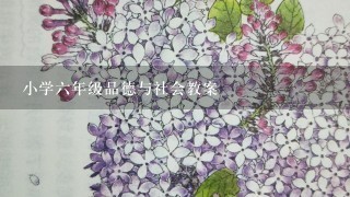 小学六年级品德与社会教案