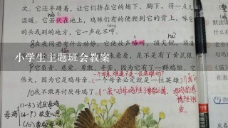 小学生主题班会教案