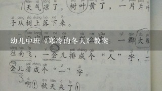 幼儿中班《寒冷的冬天》教案