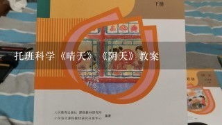 托班科学《晴天》《阴天》教案