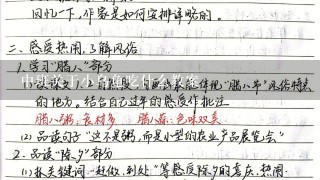 中班关于小乌龟吃什么教案