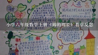 小学六年级数学上册《圆的周长》教学反思