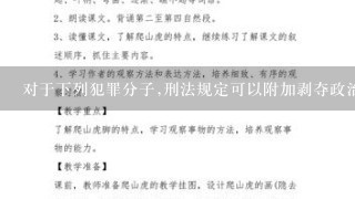 对于下列犯罪分子,刑法规定可以附加剥夺政治权利的是( )