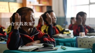 综合实践教案