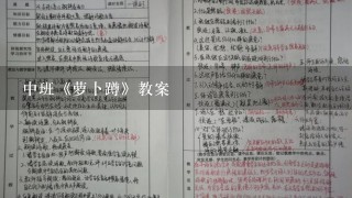 中班《萝卜蹲》教案