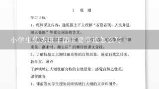 小学生优秀班干部主要事迹怎么写