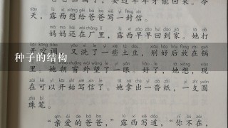 种子的结构