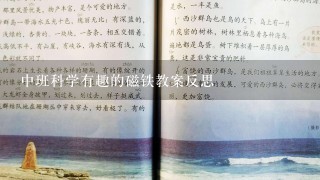 中班科学有趣的磁铁教案反思