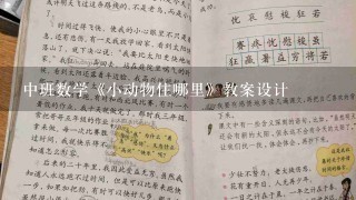 中班数学《小动物住哪里》教案设计