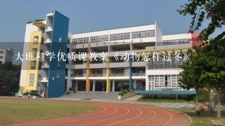 大班科学优质课教案《动物怎样过冬》