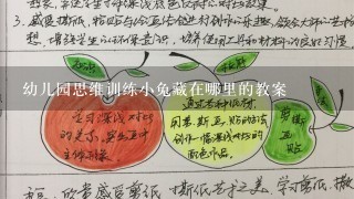 幼儿园思维训练小兔藏在哪里的教案