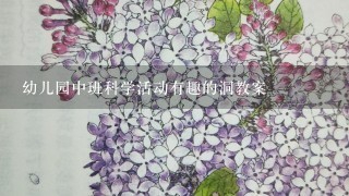 幼儿园中班科学活动有趣的洞教案