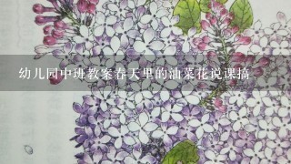 幼儿园中班教案春天里的油菜花说课搞