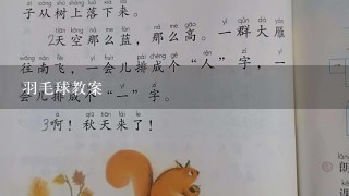 羽毛球教案