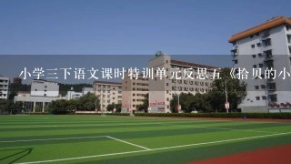 小学3下语文课时特训单元反思5《拾贝的小女孩》读后感？