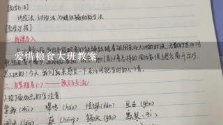 爱惜粮食大班教案