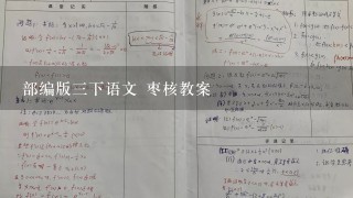 部编版3下语文 枣核教案